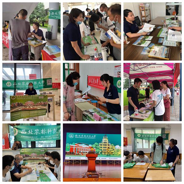 f9fcdf3940d3491cb6ecdbee179ea125.jpg NeoImage_副本.jpg